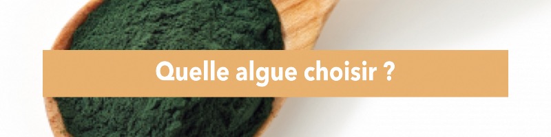 Quelle algue choisir ?