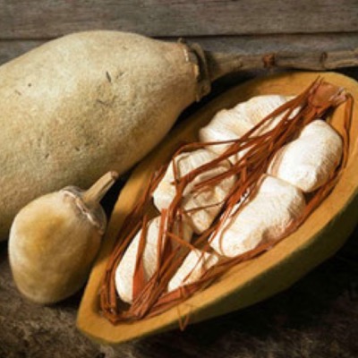 super aliment bio Le fruit du baobab pour la vitamine C et la vitalité