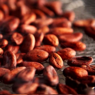 super aliment bio La poudre de Cacao, savoureuse et bonne pour le coeur 